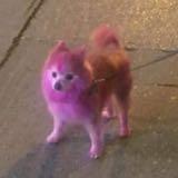 (Category: ) located in . Submitted by kha13a (Listing ID 1367045390, Image 1). Description: .