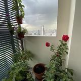 (Category: ) located in . Submitted by genesta (Listing ID 1384696381, Image 1). Description: .