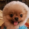 (Category: ) located in . Submitted by athnic (Listing ID 1385492801, Image 1). Description: .