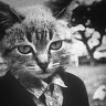 （分類：）位於 。 由 simonkinghk 提交（商品編號 1366673146，圖片 1）。簡介： 。