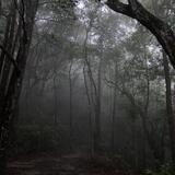 (Category: ) located in . Submitted by sweatysweetpotato (Listing ID 1363414196, Image 1). Description: .