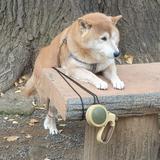 (Category: ) located in . Submitted by bohbee (Listing ID 1382974880, Image 1). Description: .