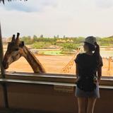 （分類：）位於 。 由 Saanvi.tt 提交（商品編號 1384735954，圖片 1）。簡介： 。