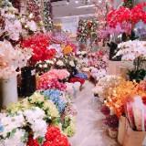 (Category: ) located in . Submitted by mrwugui (Listing ID 1381264958, Image 1). Description: .