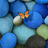 (Category: ) located in . Submitted by nazeer9999 (Listing ID 1458993180, Image 1). Description: .