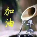（分類：）位於 。 由 carolcarolm.1 提交（商品編號 1061817816，圖片 1）。簡介： 。
