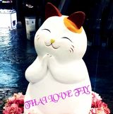 （分類：）位於 。 由 thailovefly 提交（商品編號 1156340068，圖片 1）。簡介： 。