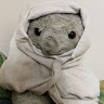 （分類：）位於 。 由 bksellsellsell 提交（商品編號 1264020455，圖片 1）。簡介： 。