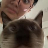 (Category: ) located in . Submitted by grrachi (Listing ID 1012127403, Image 1). Description: .