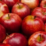 （分類：）位於 。 由 winterapple 提交（商品編號 1384962075，圖片 1）。簡介： 。