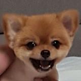 (Category: ) located in . Submitted by manilahaulph (Listing ID 1180814122, Image 1). Description: .