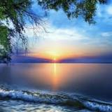 (Category: ) located in . Submitted by joyofmusic (Listing ID 1373754977, Image 1). Description: .