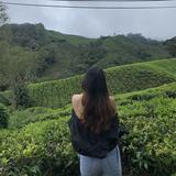 (Category: ) located in . Submitted by mai_preloved_ (Listing ID 1463268284, Image 1). Description: .