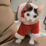 (Category: ) located in . Submitted by koko.b (Listing ID 1358569179, Image 1). Description: .