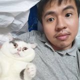 （分類：）位於 。 由 kksun2020 提交（商品編號 1384551856，圖片 1）。簡介： 。