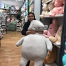 (Category: ) located in . Submitted by danin99 (Listing ID 1384463739, Image 1). Description: .