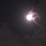 (Category: ) located in . Submitted by ijr_e (Listing ID 1354122233, Image 1). Description: .