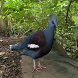(Category: ) located in . Submitted by billibilli (Listing ID 1369705622, Image 1). Description: .