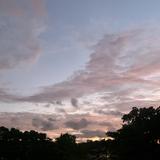 (Category: ) located in . Submitted by ajt883 (Listing ID 1373095373, Image 1). Description: .