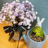 (分類:)位於 。 由 belle_ccn 提交(商品編號 1455689216,圖片 1)。簡介: 。