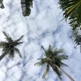 (Category: ) located in . Submitted by userrname0106 (Listing ID 1455412674, Image 1). Description: .