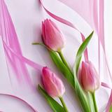 (Category: ) located in . Submitted by meldivastore (Listing ID 280137092, Image 1). Description: .