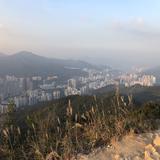 （分類：）位於 。 由 gogreenla 提交（商品編號 1290012548，圖片 1）。簡介： 。