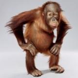 (Category: ) located in . Submitted by average_joe (Listing ID 1373806059, Image 1). Description: .