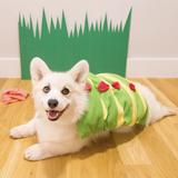 (Category: ) located in . Submitted by corgicorgos (Listing ID 1365759980, Image 1). Description: .