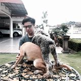 (Category: ) located in . Submitted by weikang.yap_549 (Listing ID 1453467857, Image 1). Description: .