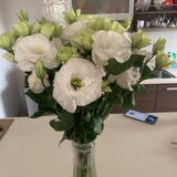 (Category: ) located in . Submitted by saggibabe (Listing ID 1299479907, Image 1). Description: .