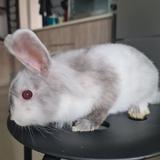 (Category: ) located in . Submitted by emily_ (Listing ID 1386091066, Image 1). Description: .