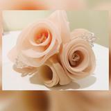 (Category: ) located in . Submitted by janhong (Listing ID 1376562233, Image 1). Description: .