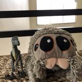 (Category: ) located in . Submitted by aramis1219 (Listing ID 179379612, Image 1). Description: .