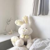由 tingting012 (刊登 ID 1383621979，圖片 1) 提交，位於 的 (類別：)，說明：。
