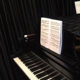 （分類：）位於 。 由 piano_classical 提交（商品編號 1066865655，圖片 1）。簡介： 。