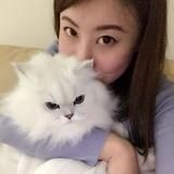 (分類:)位於 。 由 hlangelc 提交(商品編號 1456904944,圖片 1)。簡介: 。