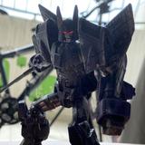 (Category: ) located in . Submitted by denonychus (Listing ID 1372462634, Image 1). Description: .