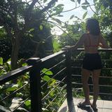 (Category: ) located in . Submitted by prelove0906 (Listing ID 1376780842, Image 1). Description: .