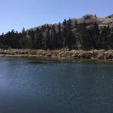 (Category: ) located in . Submitted by eileen655 (Listing ID 1378219557, Image 1). Description: .