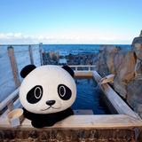 （分類：）位於 。 由 nofycat 提交（商品編號 1237440225，圖片 1）。簡介： 。