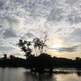 (Category: ) located in . Submitted by nsiti (Listing ID 1427561273, Image 1). Description: .