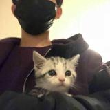 （分類：）位於 。 由 wty.he 提交（商品編號 1352077214，圖片 1）。簡介： 。