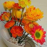 (Category: ) located in . Submitted by preethiravip (Listing ID 1369893404, Image 1). Description: .