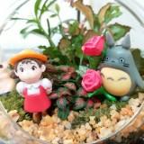 （分類：）位於 。 由 ccppurple 提交（商品編號 1378306847，圖片 1）。簡介： 。