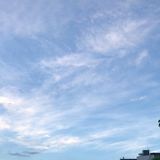 （分類：）位於 。 由 wst1023 提交（商品編號 1385056564，圖片 1）。簡介： 。