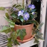 (Category: ) located in . Submitted by esha1101 (Listing ID 1382825543, Image 1). Description: .