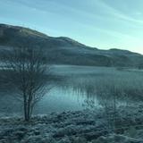(Category: ) located in . Submitted by rainbringer (Listing ID 1281525479, Image 1). Description: .
