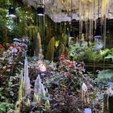 (Category: ) located in . Submitted by 168hong (Listing ID 1367788337, Image 1). Description: .