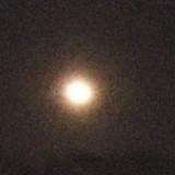 (Category: ) located in . Submitted by chrisokno1 (Listing ID 1461858066, Image 1). Description: .